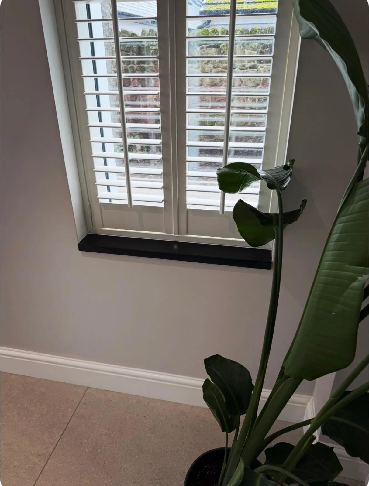 A potted plant with dark green leaves sits near white shuttered doors with a view of fields outside.