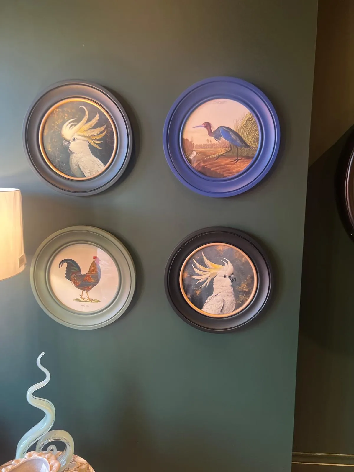 Four framed circular plates with bird illustrations mounted on a teal wall.