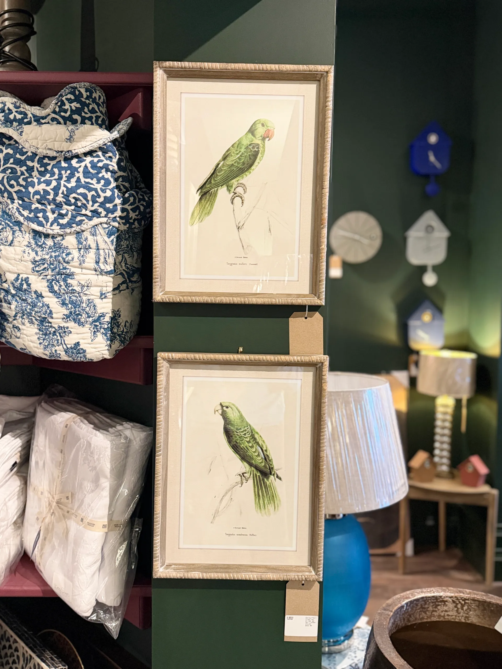 Two framed botanical parrot prints hang on a deep green wall, displayed alongside blue and white decorative accessories and a cuckoo clock in the MVT Interiors showroom.