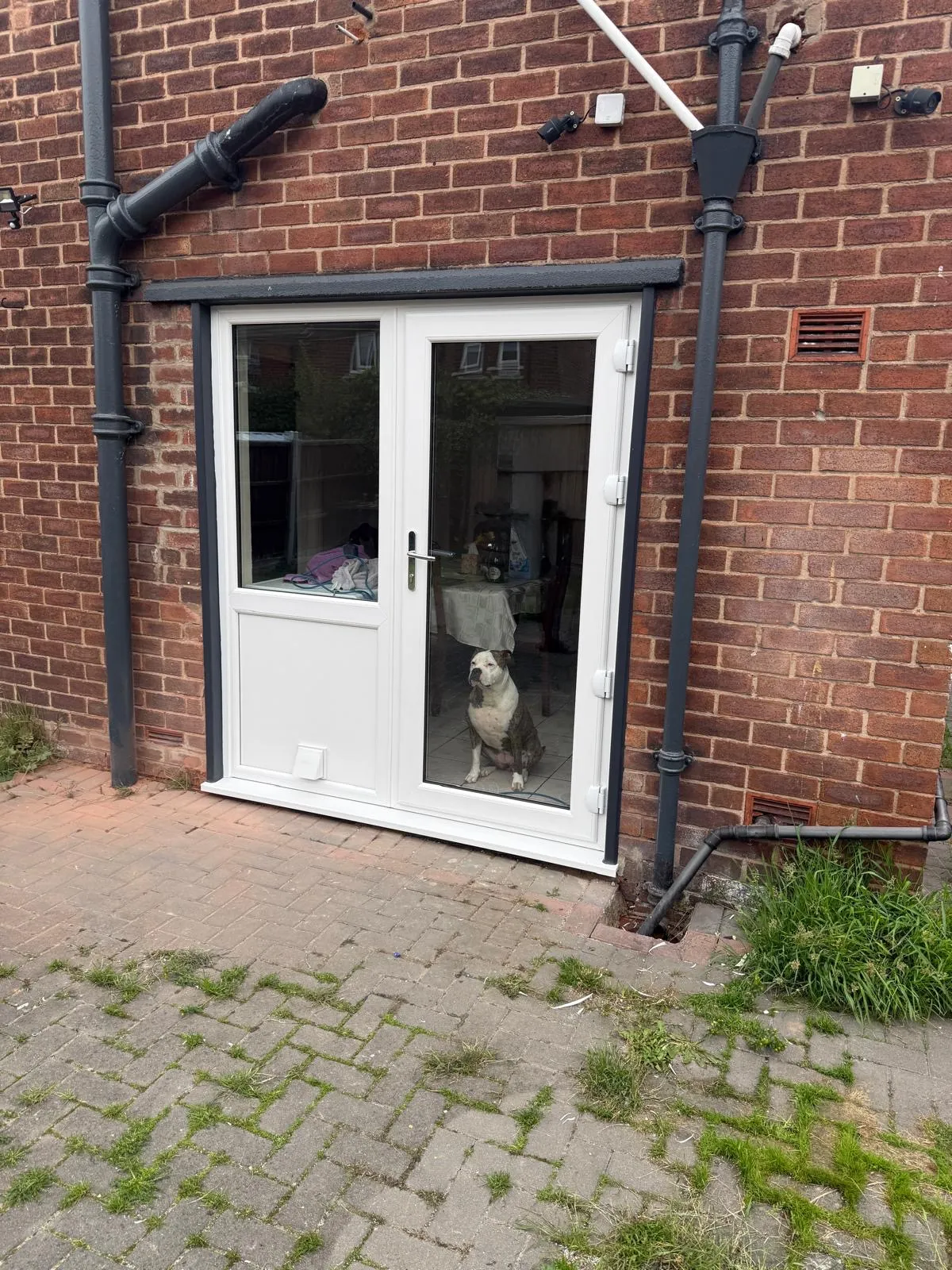 White uPVC French doors with a dog sitting behind the glass panels.