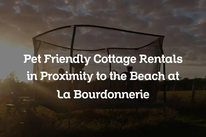 pet friendly cottage rentals in proximity to the beach