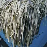 Office Shredding Service in Crewe 