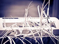 Document Shredding Service in Horwich