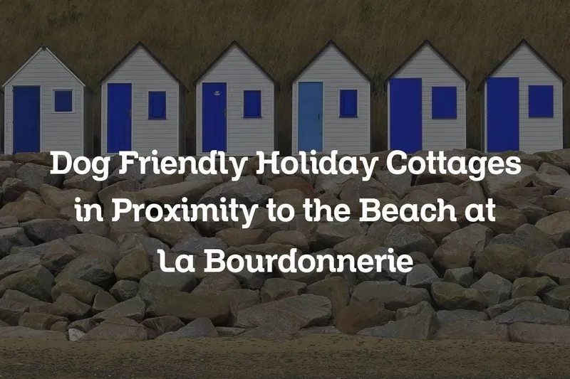 Dog Friendly Holiday Cottages in Proximity to the Beach