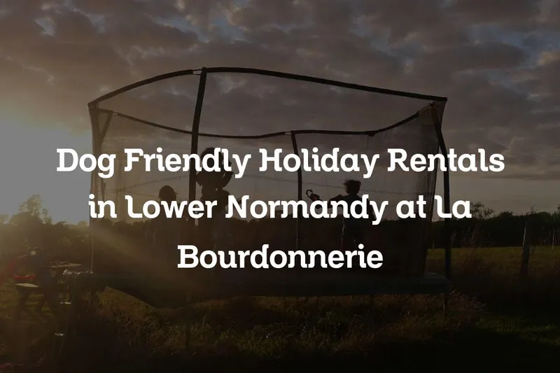 dog friendly holiday rentals in Lower Normandy