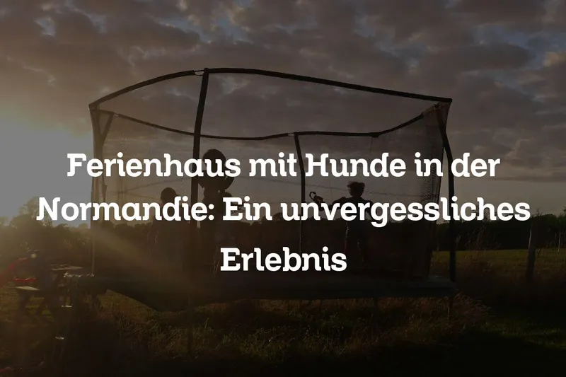 Ferienhaus mit Hunde in der Normandie