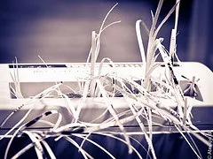 Document Disposal in Macclesfield