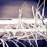 Office Shredding Service in Cheshire 
