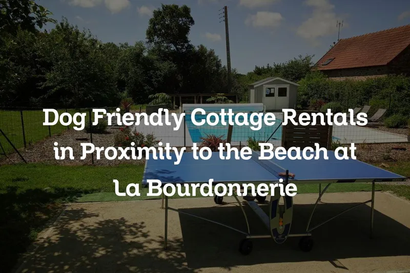 dog friendly cottage rentals in proximity to the beach