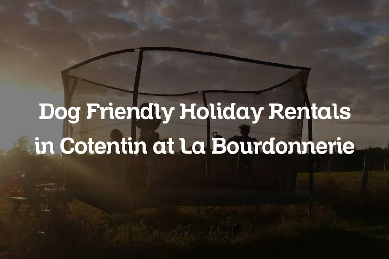 Dog Friendly Holiday Rentals in Cotentin